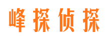 新建侦探公司